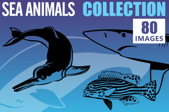 Download Sea Animals Vector Clipart Collection - Vector Collection
